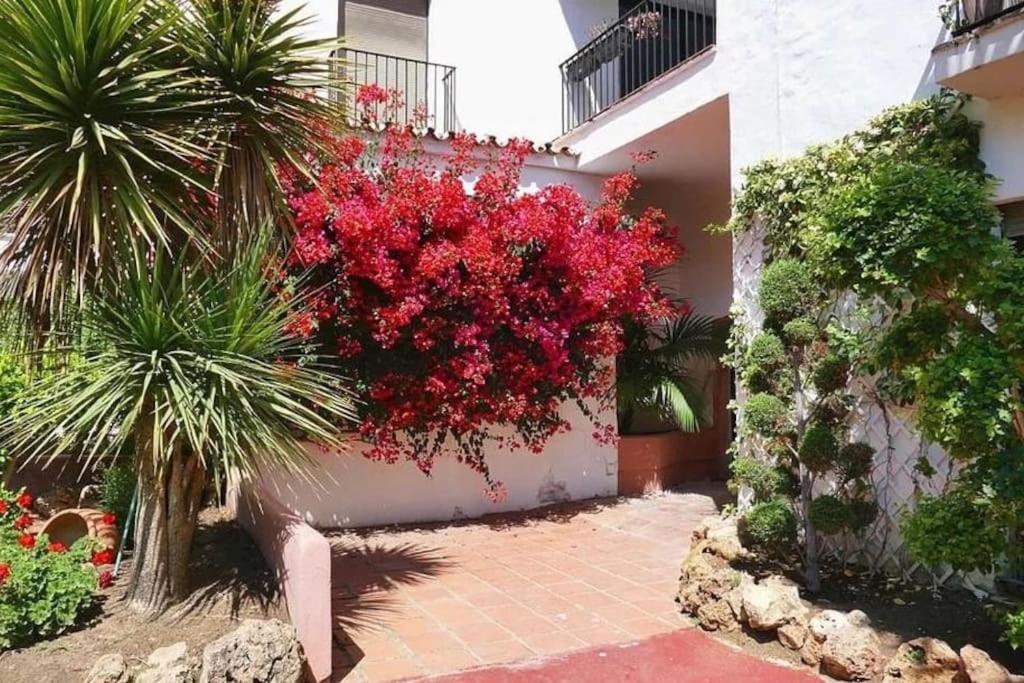 Caprichoso Apartamento En El Corazon De Puerto Banus マルベーリャ エクステリア 写真
